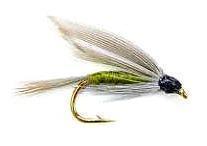 Fly fishing wet fly patterns hackle nymph pupa streamer bead head