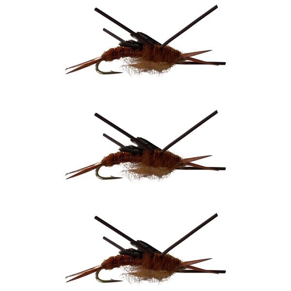 Fish Wiz Wiggle Bug – Jointed Brown Stonefly Nymph – Size 10 (3-Pack)