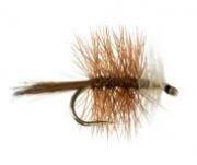 Fly Fishing Assortment - 32 Classic Dry Flies / Fly Box - 8 PATTERNS 4 Sizes - Feeder Creek