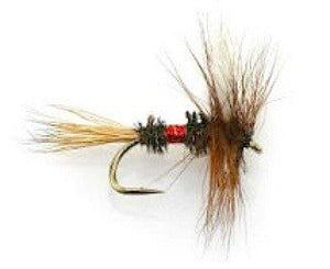 Fly Fishing Lures Wet Assortment for Trout Fishing and Other Freshwater Fish - 36 / 72 / 108 Popular Dry and Wet Flies - 9 Patterns in 4 Sizes - Feeder Creek - Feeder Creek