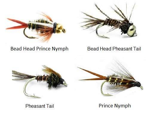 Nymph Fly Fishing Trout Flies - 48 Wet Flies - 4 Size Assortment  12,14,16,18 (3 of Each Size) Prince, Bead Head Prince, Pheasant Tail, and  Bead Head