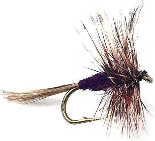 Fly Fishing Flies for Trout - ADAMS DRY FLY - Hand Tied Size 12 with Purple  Body