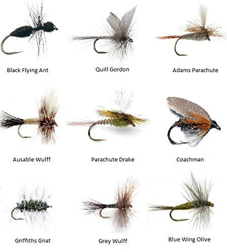 Feeder Creek Fly Fishing Flies Assortment for Trout Fishing and Other  Freshwater Fish - 36 Dry Flies - 18 Patterns