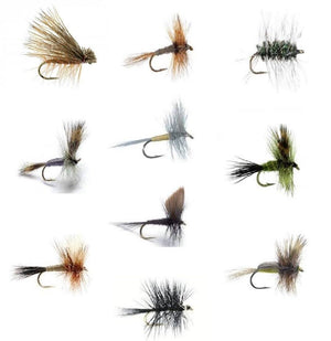 Fly Fishing Flies Set of 30 Dry Flies for Trout and Freshwater Fish - 10 Patterns - Feeder Creek