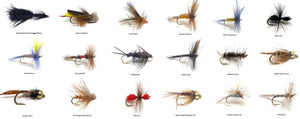 Wet and Dry Fly Fishing Assortment - 36 Flies in 18 Patterns - Bead Head, Wooly Bugger, Adams, and More
