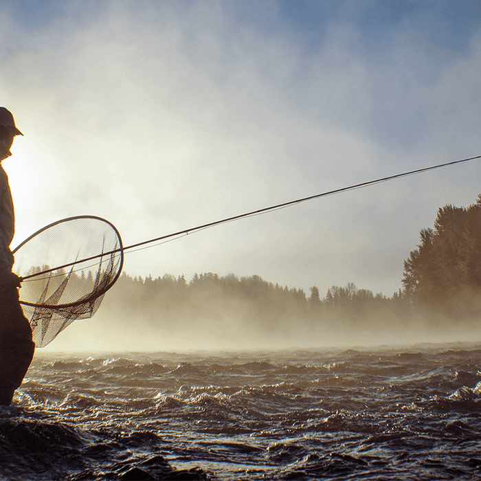 3 Midge Fly Patterns to Catch Yourself a Killer Trout