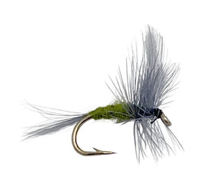 Dry Flies and Emergers
