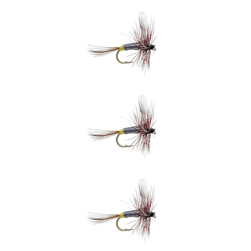 Adams Female trout flies 3 pack