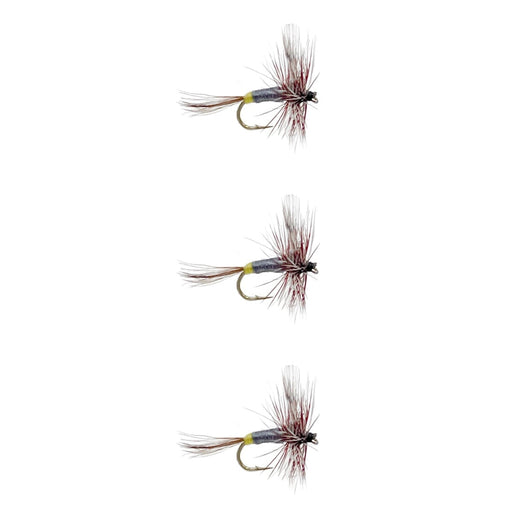 Adams Female trout flies 3 pack