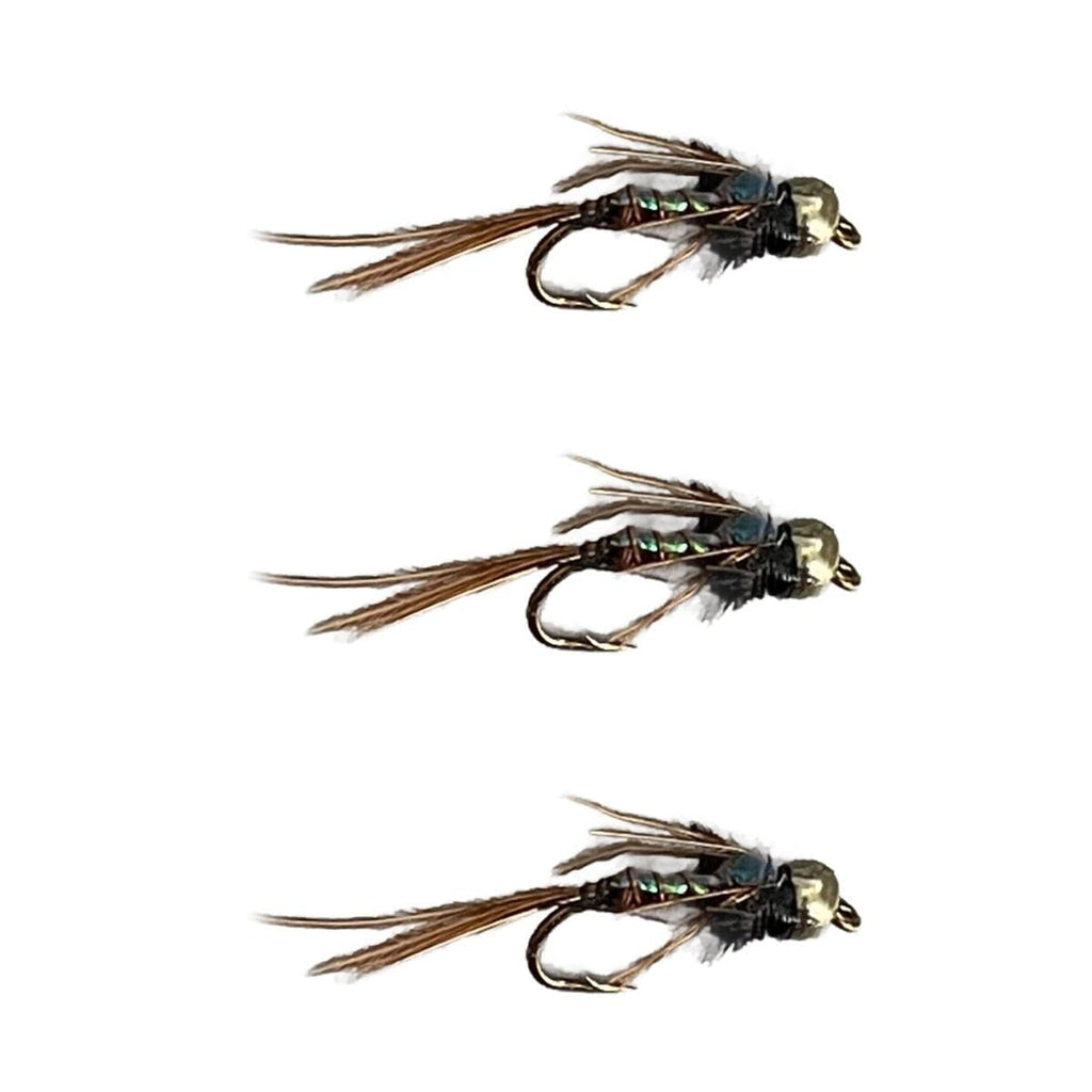 Pheasant Tail Flash Back - Beadhead | 3 Pack
