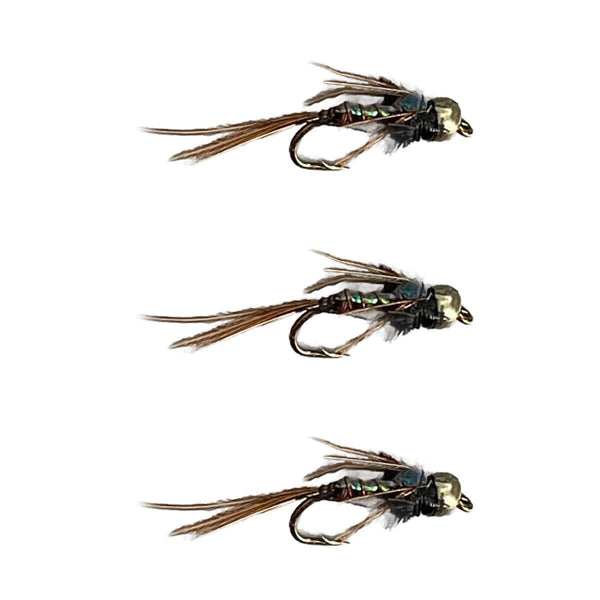 Pheasant Tail Flash Back - Beadhead | 3 Pack