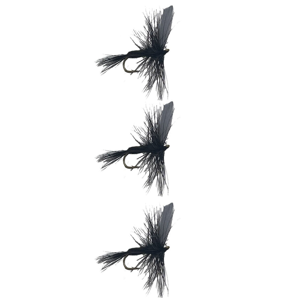 Black Gnat 3 Pack Dry Trout Flies
