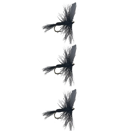 Black Gnat 3 Pack Dry Trout Flies