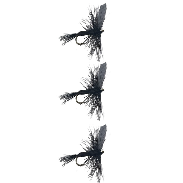 Black Gnat 3 Pack Dry Trout Flies
