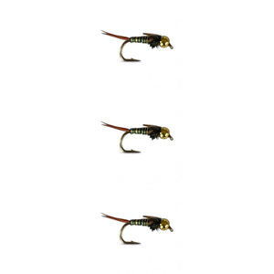 Copper John - Zebra Green/Yellow | 3 Pack