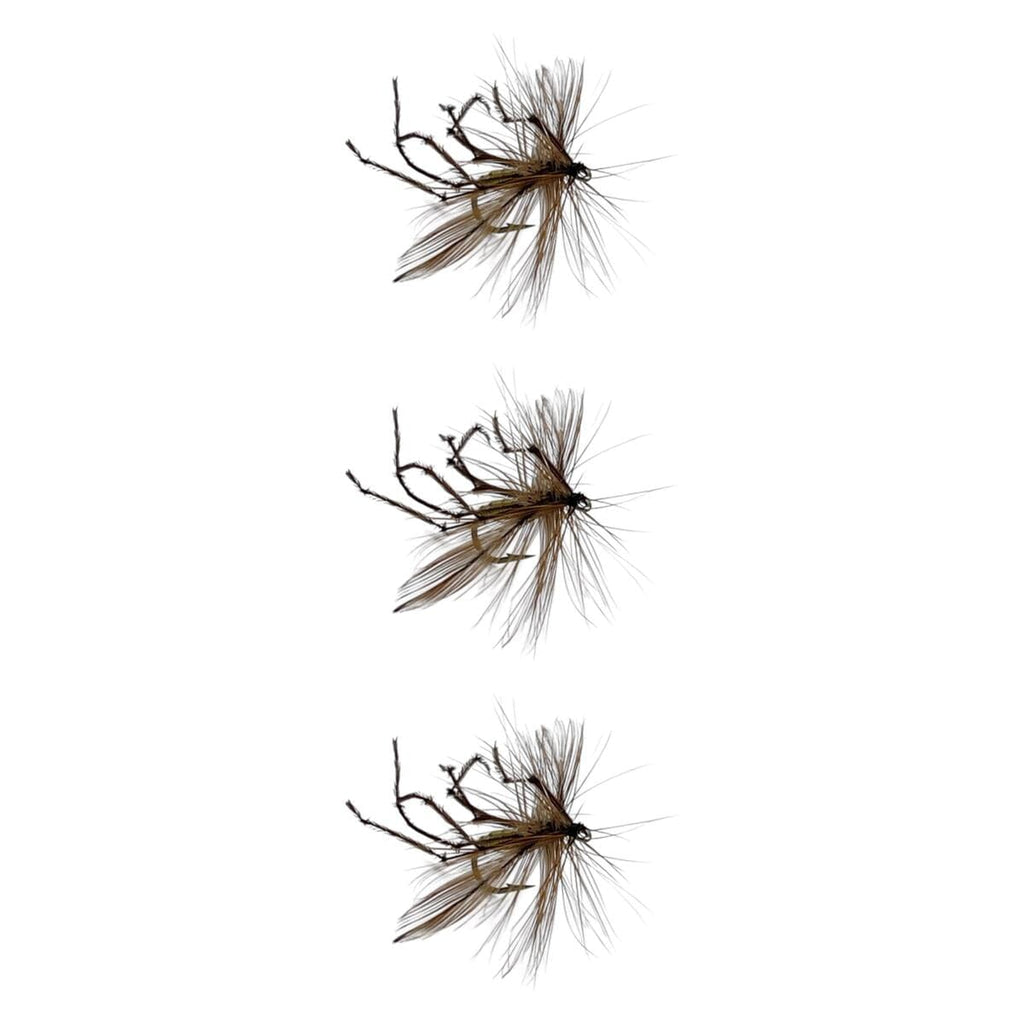 Dry Trout Fly Assortment | Daddy Long-Legs & Box Selections | For River & Stillwater