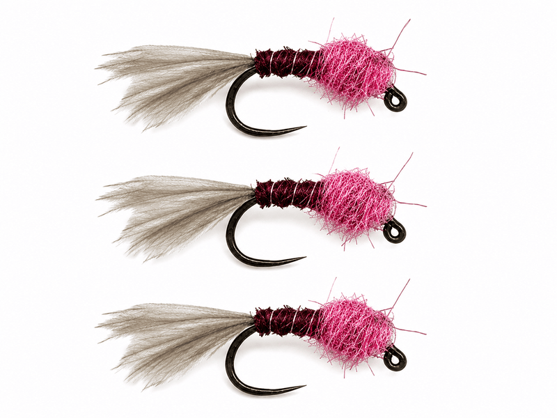 Frenchie Tungsten Head Nymph 3 Pack