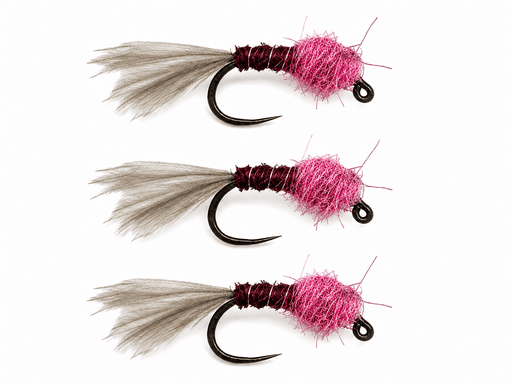 Frenchie Tungsten Head Nymph 3 Pack