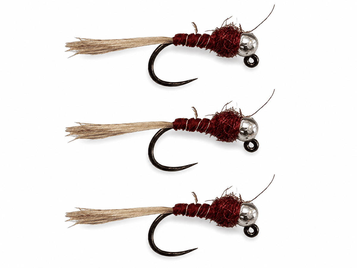 Frenchie Nymph Red | 3 Pack | Feeder Creek