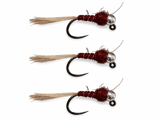 Frenchie Red 3 Pack tungsten head
