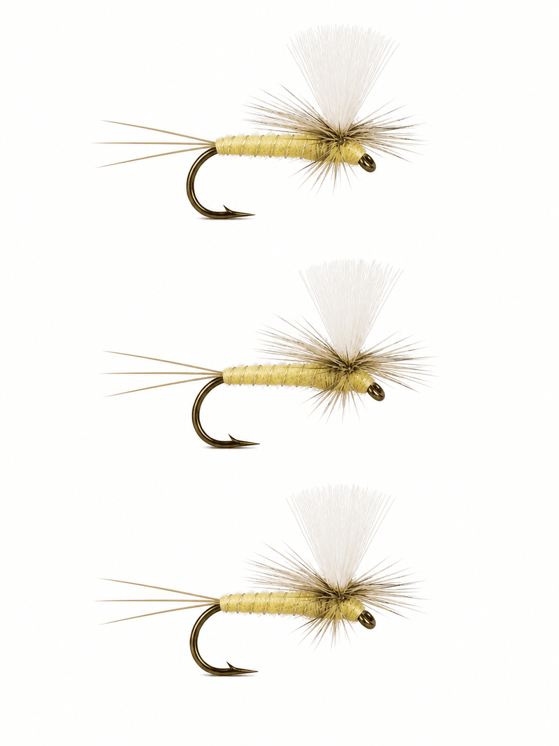 PMD Pale Morning Dun 3 Pack Mayflies