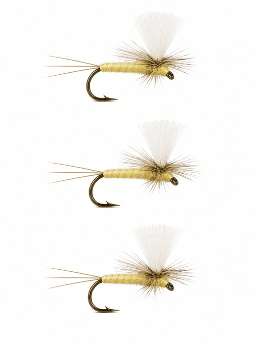 PMD Pale Morning Dun 3 Pack Mayflies