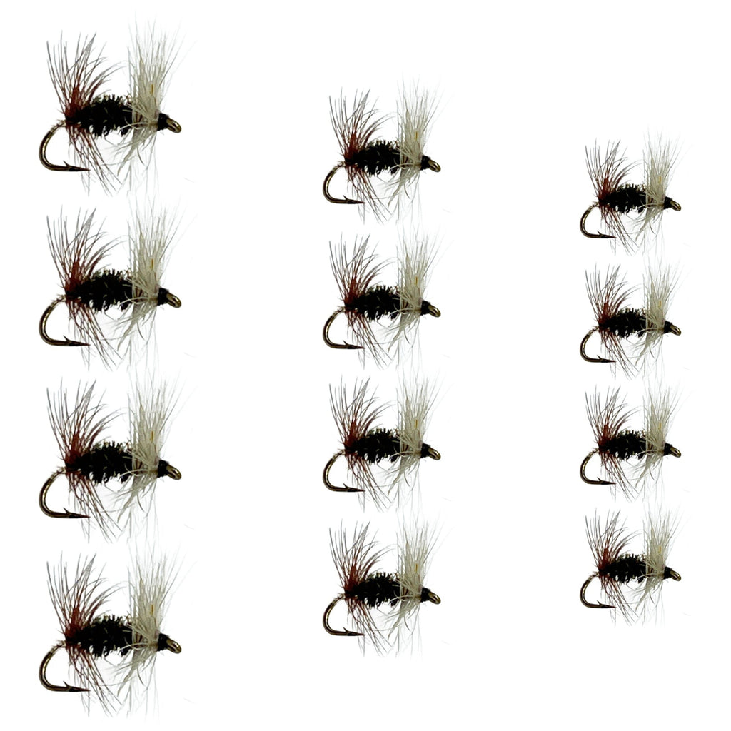 Renegade | 3 Pack