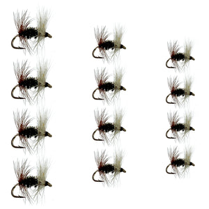Renegade | 3 Pack