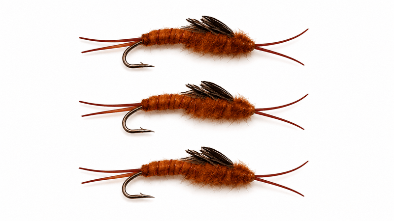 Brown Stonefly Nymph 3 Pack