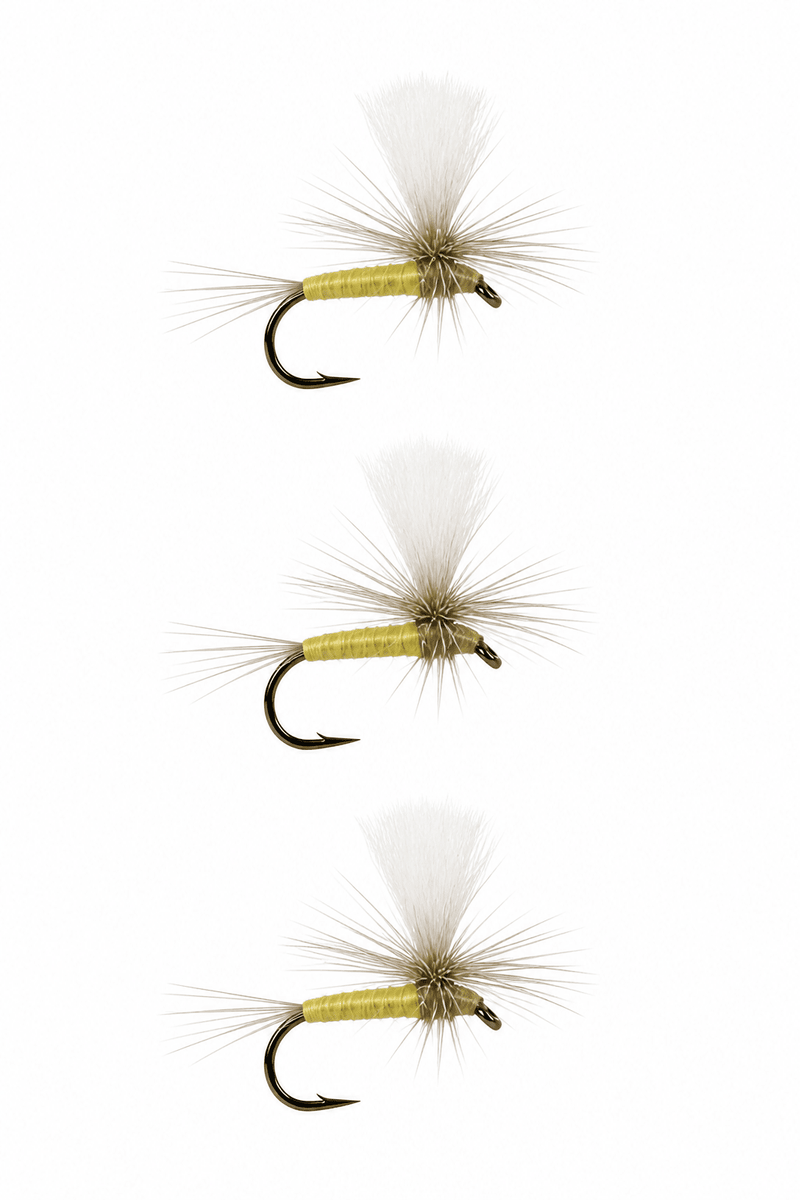 Sulphur Parachute Dun | 3 Pack
