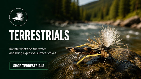 TERRESTRIALS