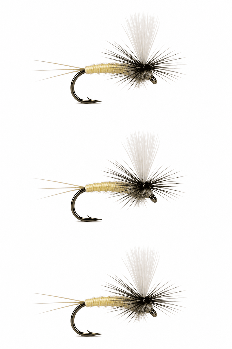 Trico Dun mayfly 3 pack dry flies