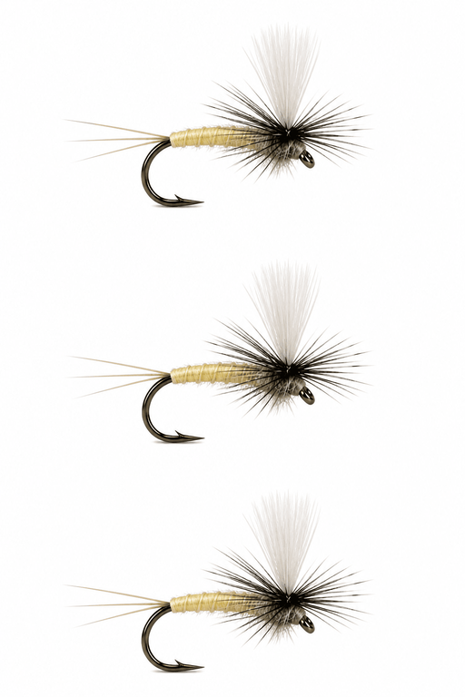 Trico Dun mayfly 3 pack dry flies