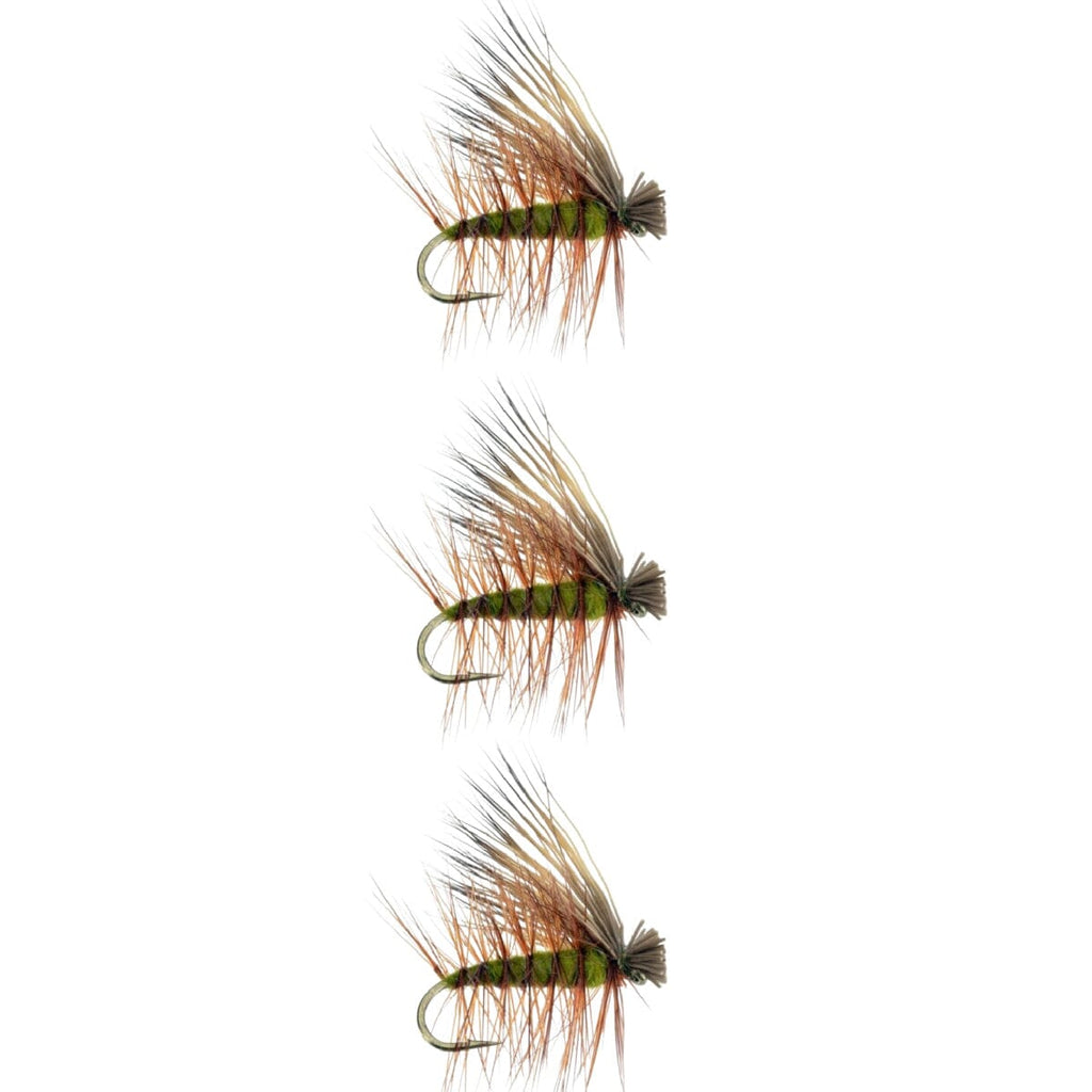 elk hair caddis olive dry flies 3 pack