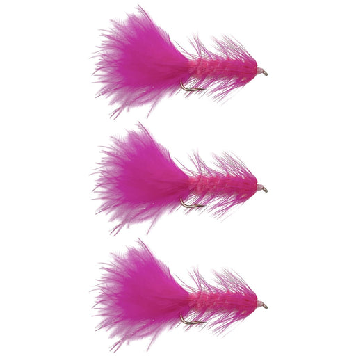 woolly bugger pink salmon trout steamer flies