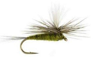 Fly Fishing Flies for Trout Fishing and Other Fish - 48 Flies- 12 Patterns of Wet and Dry Flies - Feeder Creek