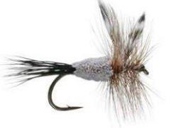 Fly Fishing Trout Flies - TROUT CRUSHING DRY FLY ASSORTMENT - 72 Dry Flies in 12 Patterns - Feeder Creek