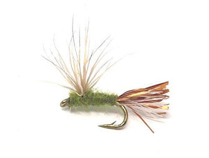 Feeder Creek Fly Fishing Trout Flies - Sparkle Dunn Nymph - 12 Wet Flies - 3 Sizes - Feeder Creek