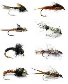 Fly Fishing Flies  - 48 Classic Nymph- 8 Patterns in 3 Sizes (Brassie, Pheasant Tail, More) - Feeder Creek