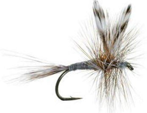 Fly Fishing Flies for Trout - ADAMS DRY FLY PATTERN - One Dozen Size 18 - Feeder Creek