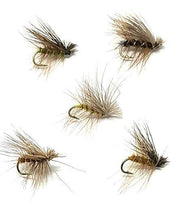 Elk Hair Caddis Assortment Trout Flies