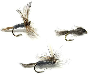 Adams Fly Assortment - Adams, Adams Parachute, and Adams Nymph