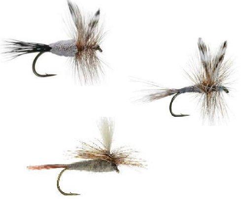 Feeder Creek Fly Fishing Flies - Adams Assortment - 24 Wet Flies - 4 Size Assortment 12,14,16,18 - Feeder Creek