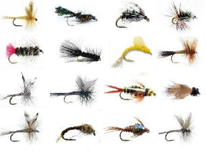 Fly Fishing Lures Wet and Dry Assortment for Trout Fishing and Other Freshwater Fish - 16 / 32 / 48 - 16 Patterns of Adams, Mayflies, Attractors, Worm, Bead Heads and More - Feeder Creek - Feeder Creek