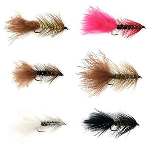 Wooly Bugger Mega Assortment - 48 Flies - 6 Pattern Multi Color Variety Sizes 6-12