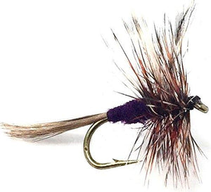 Fly Fishing Flies for Trout - ADAMS DRY FLY - Hand Tied Size 12 with Purple Body - Feeder Creek