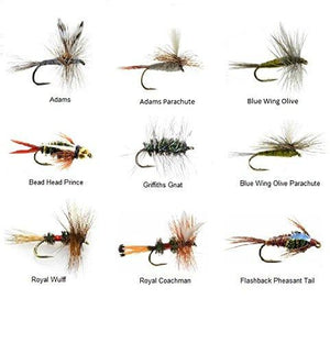 Fly Fishing Flies - 108 Popular Dry and Wet Flies - 9 Patterns in 4 Sizes - Bead Head, Adams, More - Feeder Creek