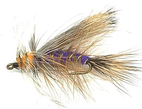 Feeder Creek Fly Fishing Assortment Stimulator Dry Flies for Trout and Other Freshwater Fish - 36 Hand Tied Flies in Sizes 12,14,16 (3 of Each Size)