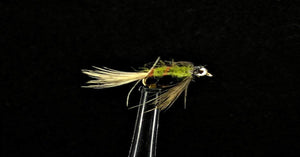 Nymph and Fly Box Assortment - 18 Flies in 6 Patterns (Pheasant Tail, Bead Heads, and More) Sizes 12-16