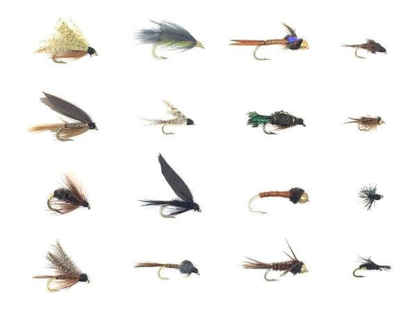 Feeder Creek Fly Fishing Flies Wet and Nymph Assortment for Trout Fishing and Other Freshwater Fish - 32/48 Flies - 16 Patterns of Wets, Nymph, Bead Head, Terrestrials, and More - Feeder Creek